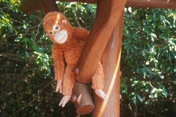 Knuffelaap in een recordtijd uitverkocht na viraal apenfilmpje